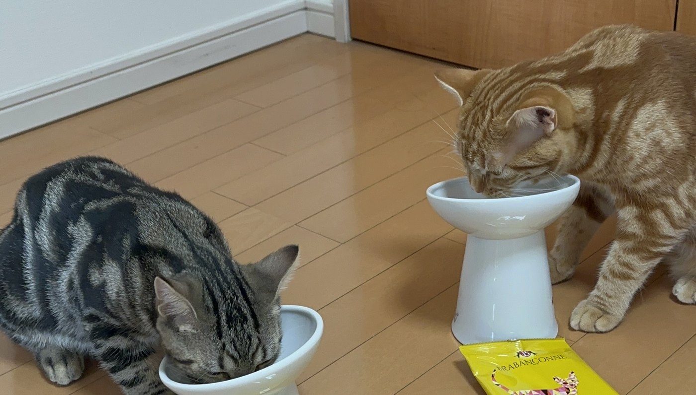 ブラバンソンヌを並んで食べるつむぎと琥珀