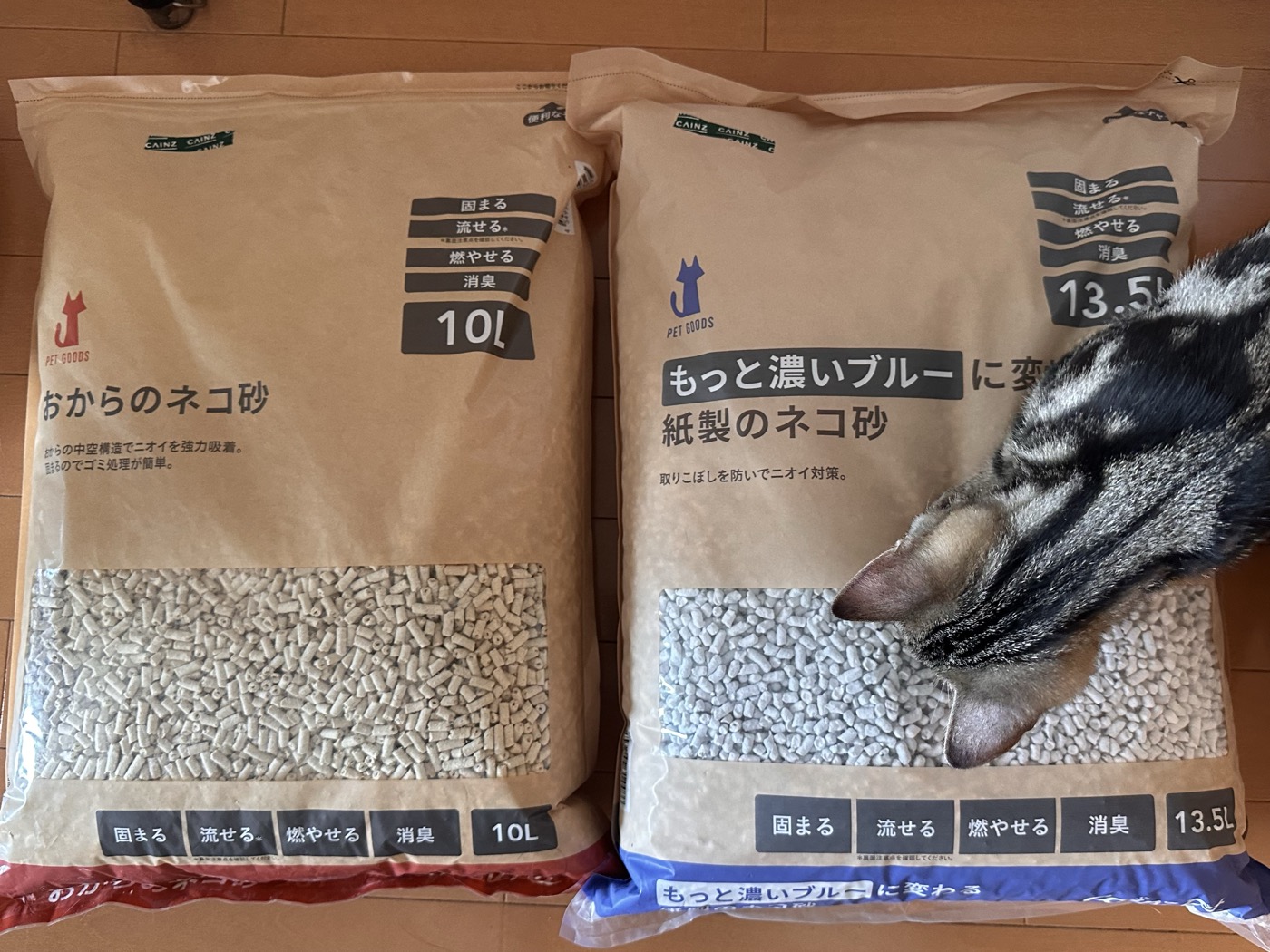 床に置いたおからのネコ砂と紙製猫砂の袋に顔を近づけてにおいを嗅ぐキジトラの琥珀