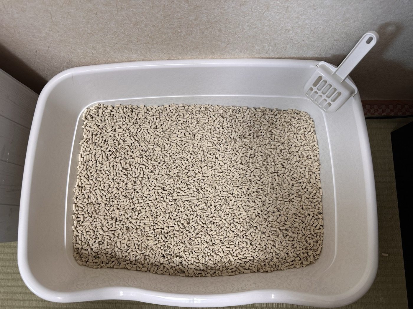 猫トイレいっぱいに敷き詰めたおからのネコ砂。細長い薄いベージュ色の粒が均一に広がっている