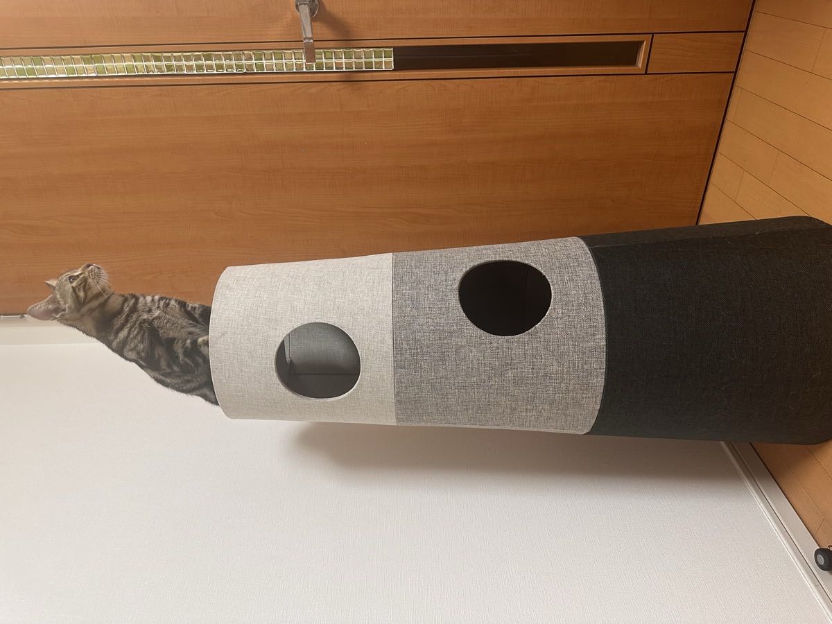 半年使ったカインズNECOTAキャットタワーの全体。一番上に琥珀が座っている