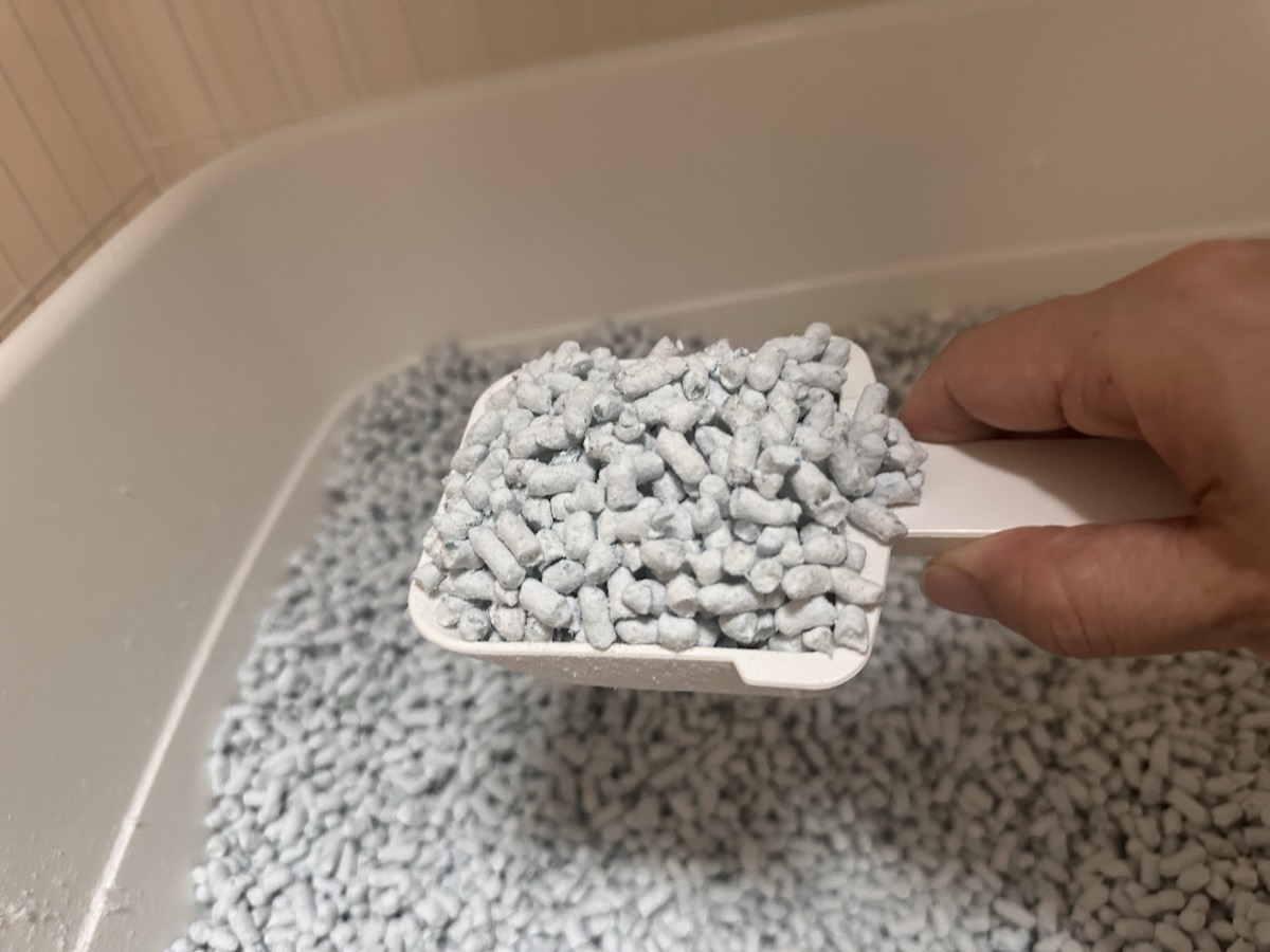ラプレ付属の白いプラスチックスコップで紙の猫砂をすくったところ