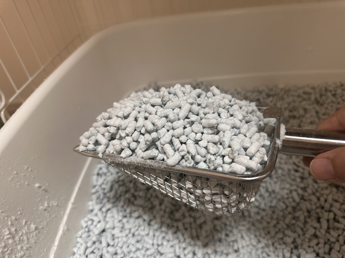 リッチェル ラプレの猫トイレで、CHASOのステンレス猫砂スコップに紙の猫砂を山盛りにすくったところ