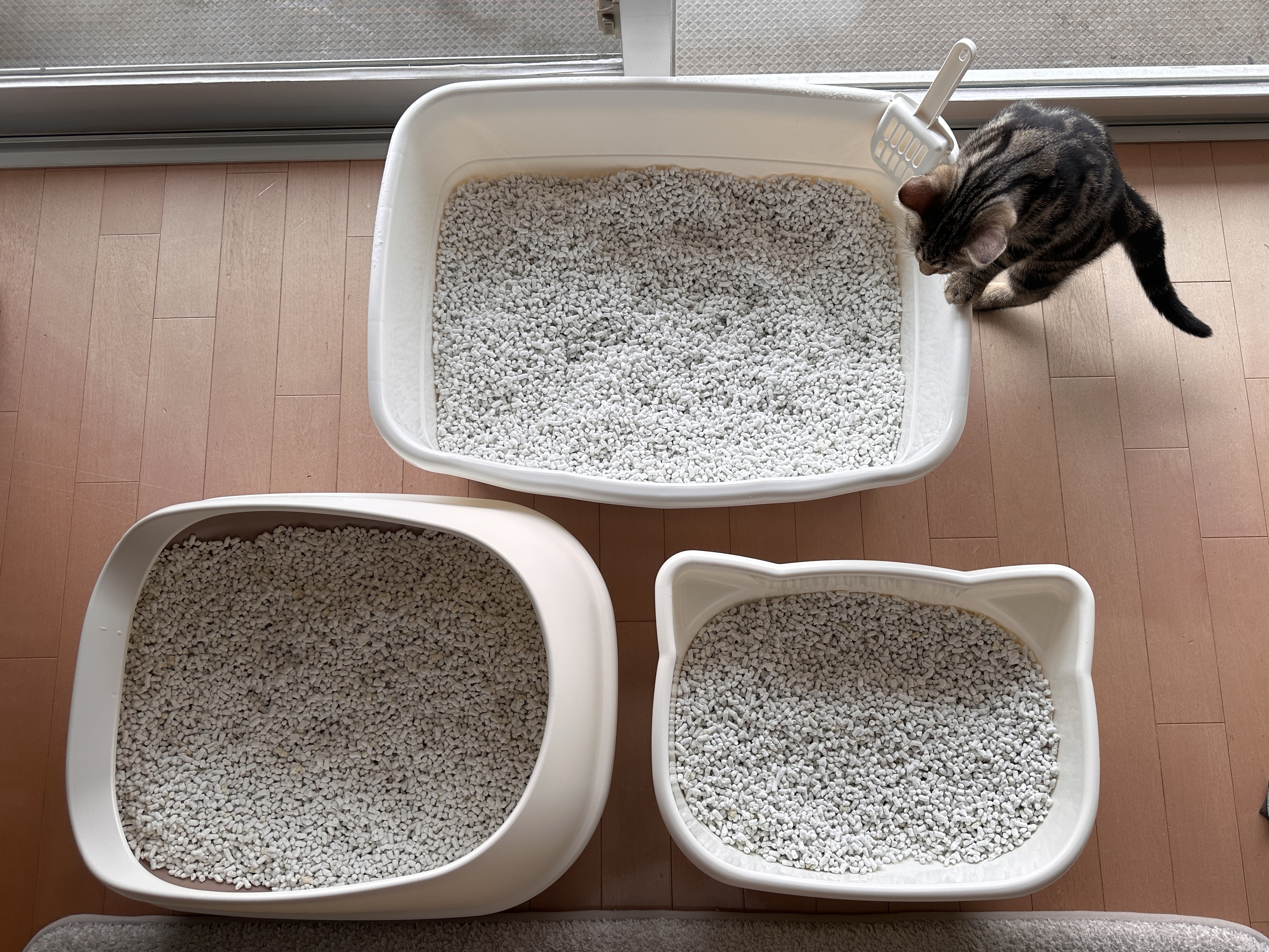 我が家の猫トイレ3台。リッチェル・デオトイレ ハーフカバー・子猫用が並ぶ