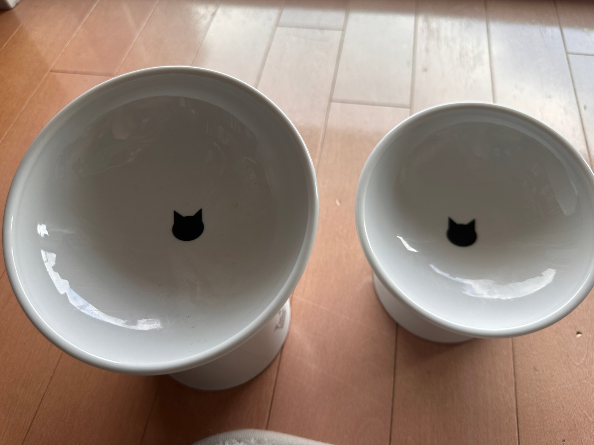 猫壱にゃにゃめフードボウルで食事する猫