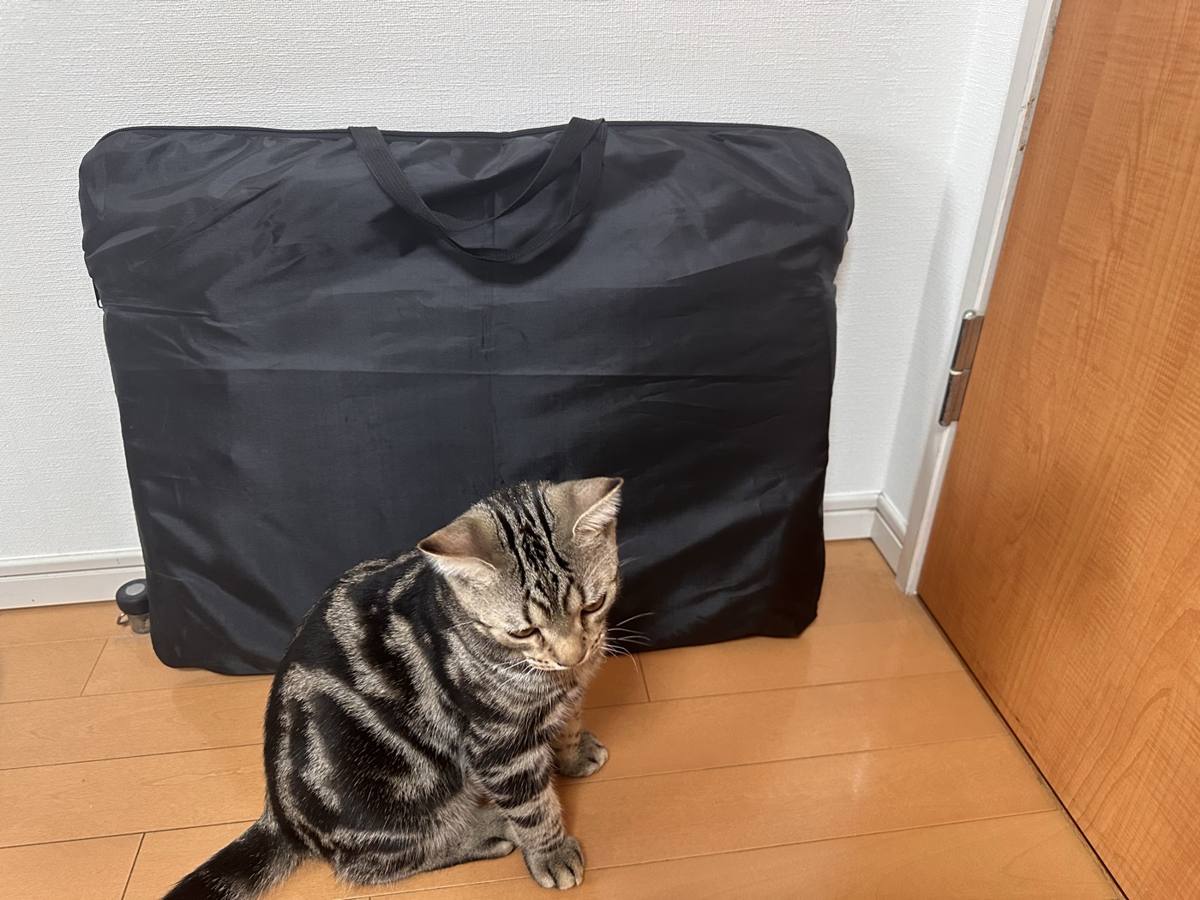 収納バッグに入れて壁際に立てたペットサークルと、その前に座る琥珀